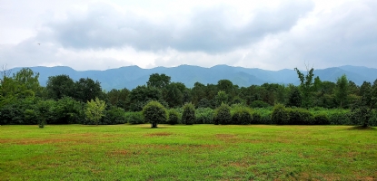 外商投资服务 | FDI SERVICE