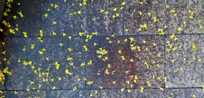 财税人事 | TAX & HR